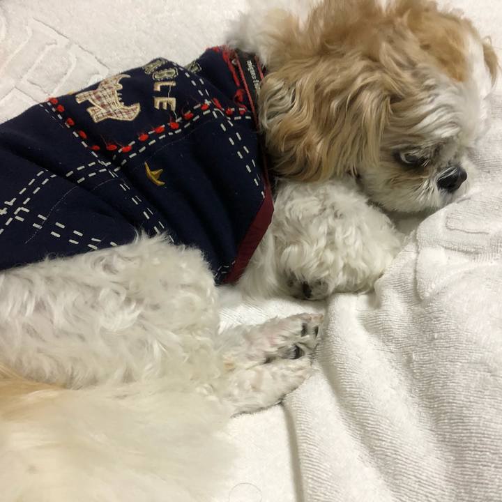 53be2f18 83cf 475e 830f 1f4b0bc24a60 1602452700700