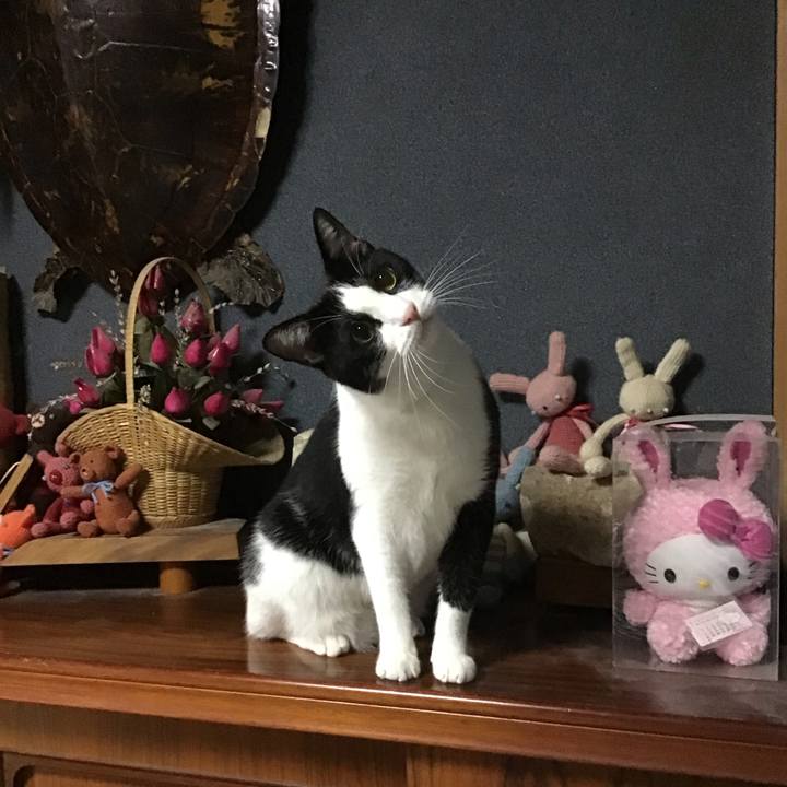 53be547f ed8f 42d9 bce0 4b118544b079 1694173612269