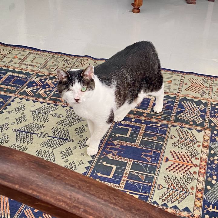 53be6125 6027 4f91 9a25 983e332d02c3 1586672970793