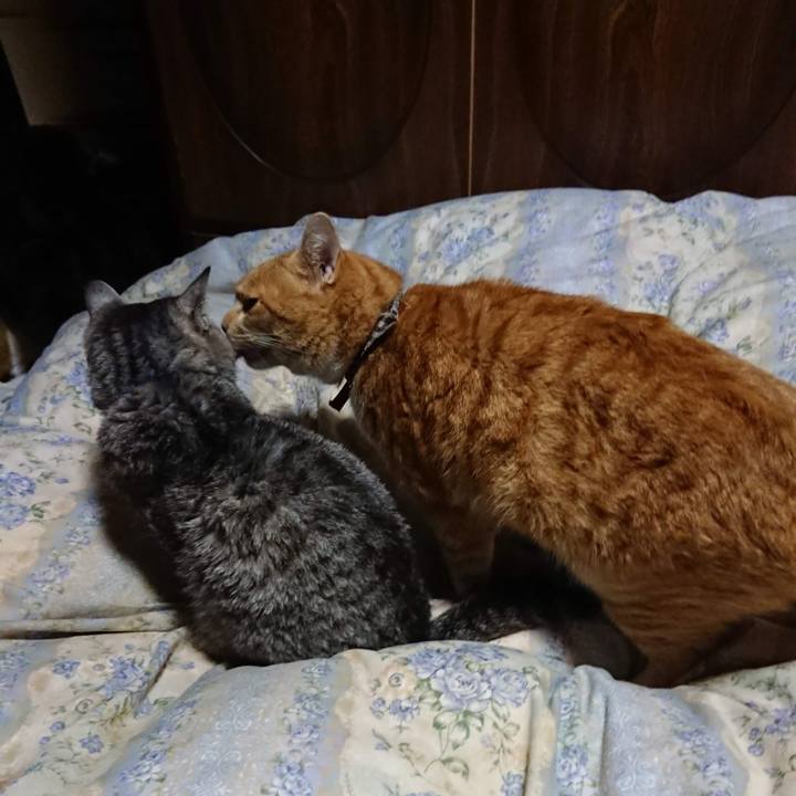 53be674f f2ba 4023 bd0f 226033e425fd 1607774046989