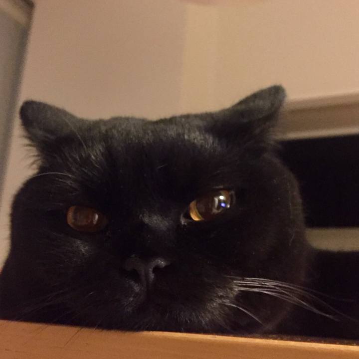 53be6c14 76aa 4500 856a 82ae1f48241a 1534427558298