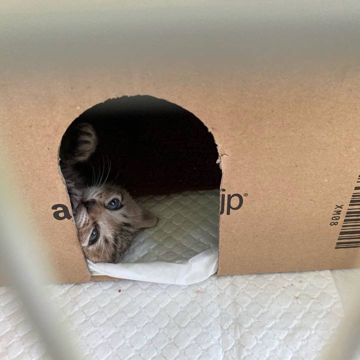 53be8047 f458 4c6e bc11 170c8f630256 1596154097309