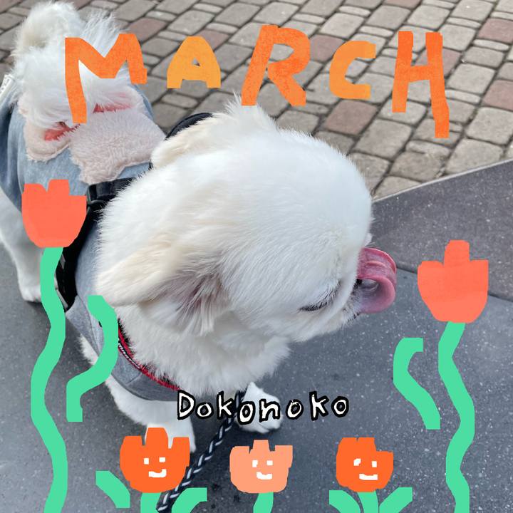 53be9860 84c7 4bb3 b41f c50ba9905e86 1741406295705