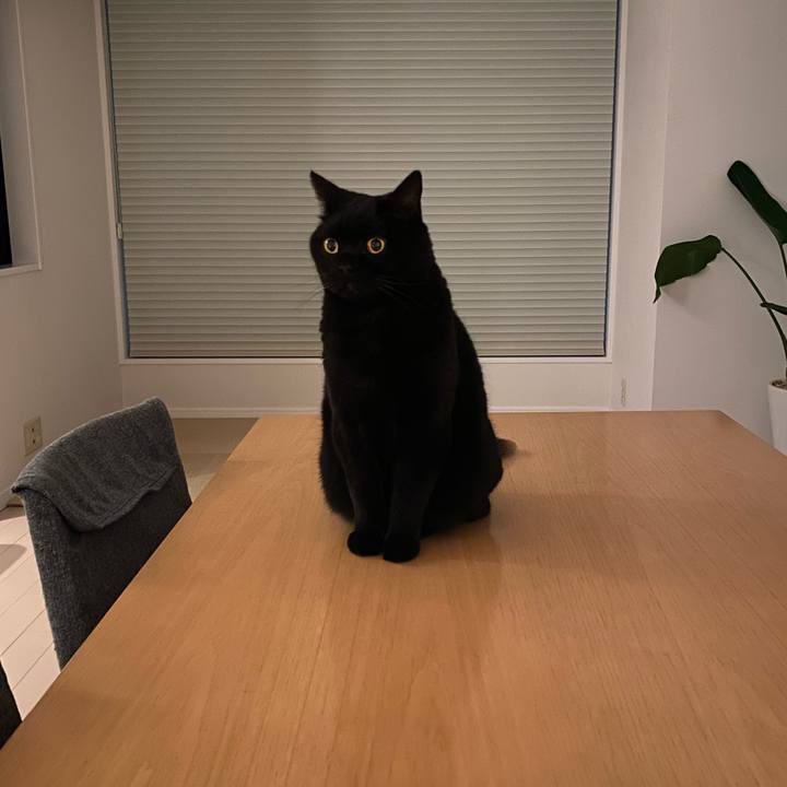 53be9b84 6e83 486c 950b 65989fe4e3cc 1745239679963