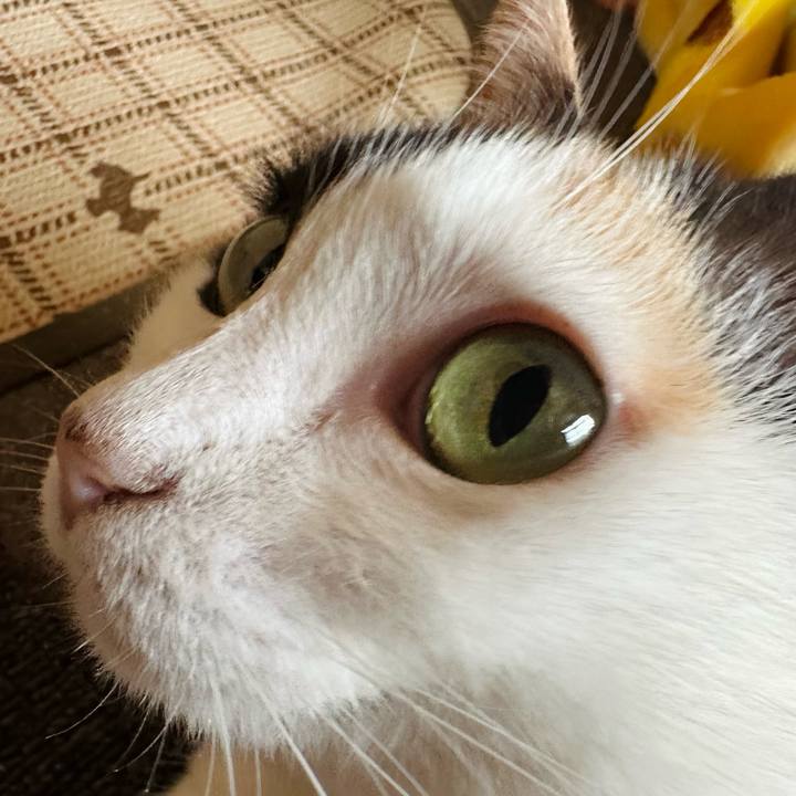 53bebbfd d88a 4d90 8825 b5f12353164a 1725672661769