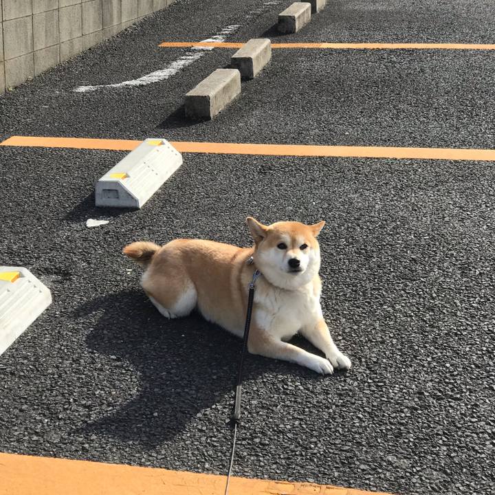 53bec2b9 a583 4757 bf5d 10ecd5197336 1552481741660