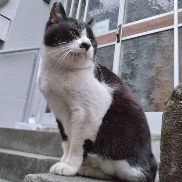 53bec763 2231 4cb7 88f9 d46422ee46ba 1704614232361