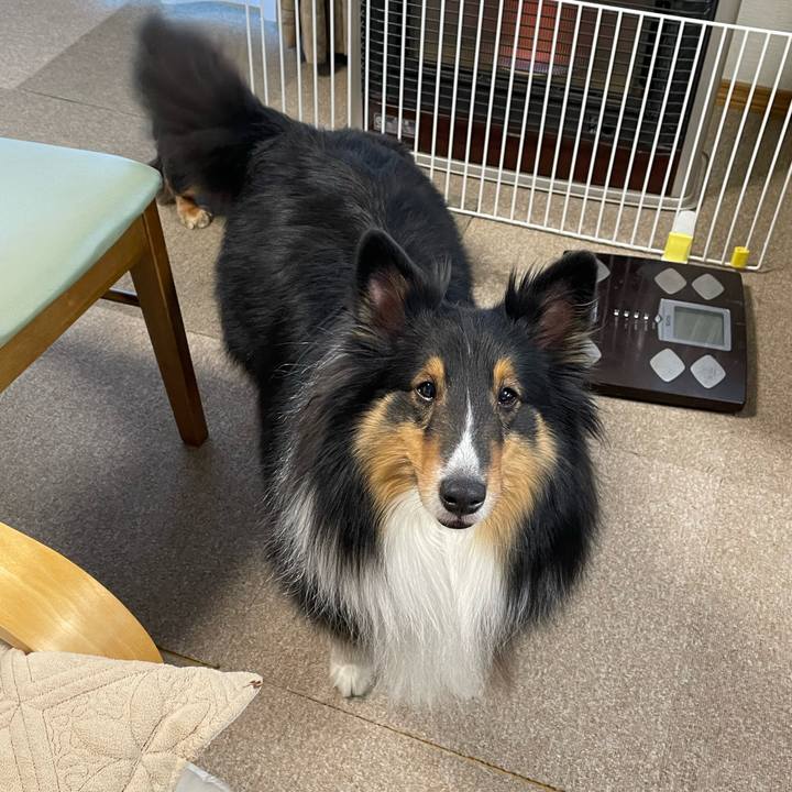 53bee4bd 01f2 45a0 844f cf1cb6c4740d 1643752674405