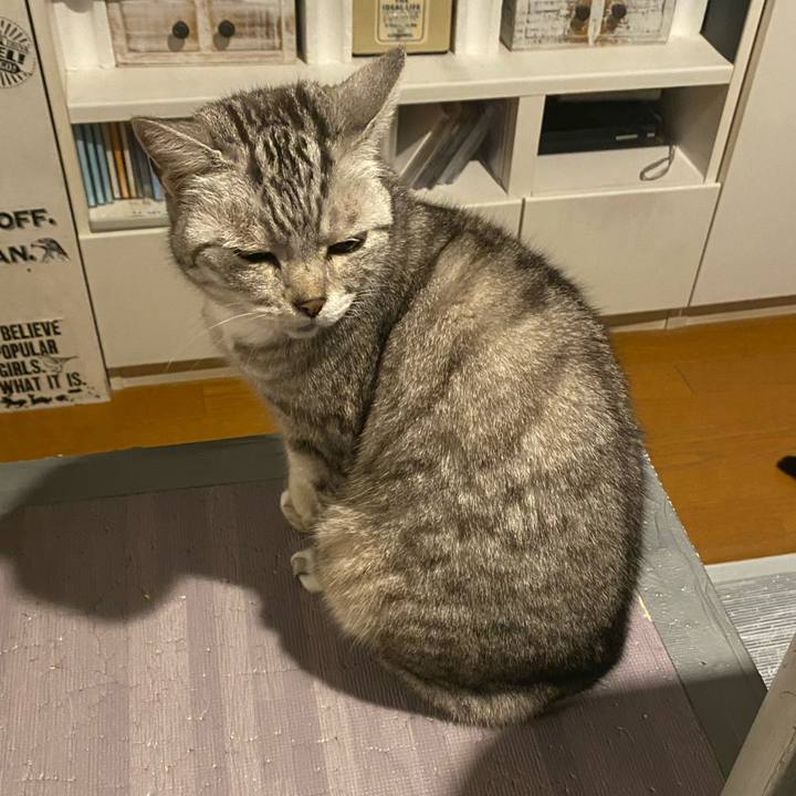 53bf3f2f 3056 4f85 bfc5 dba47cd53d07 1682730052937