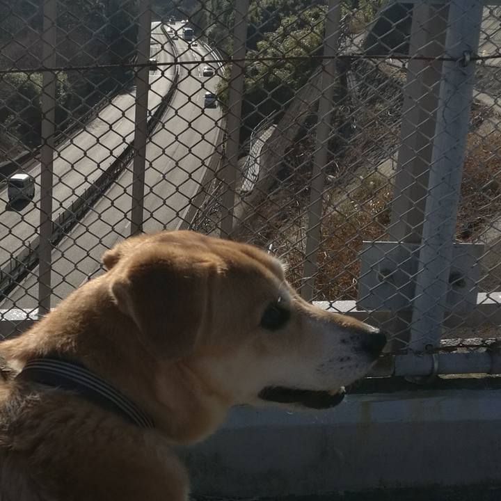 53bf6957 32ec 480f 8a12 a76fca2cfab9 1547888672005