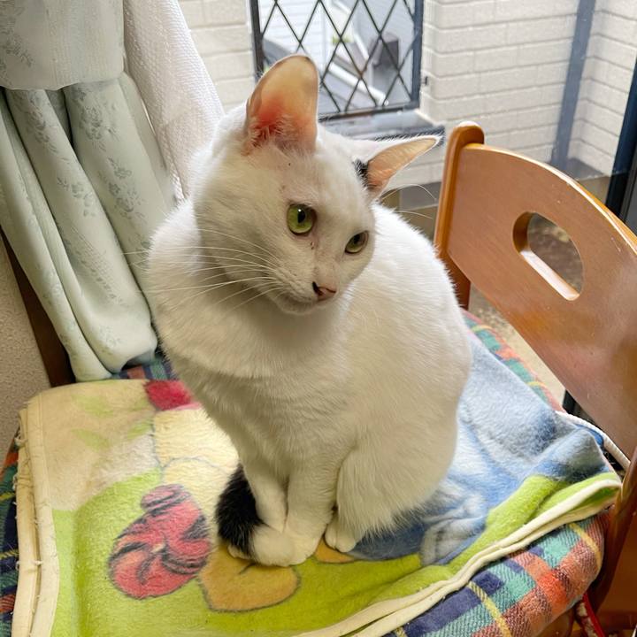 53bfa8b9 5669 436b 97e3 007ffca1254f 1762382804497