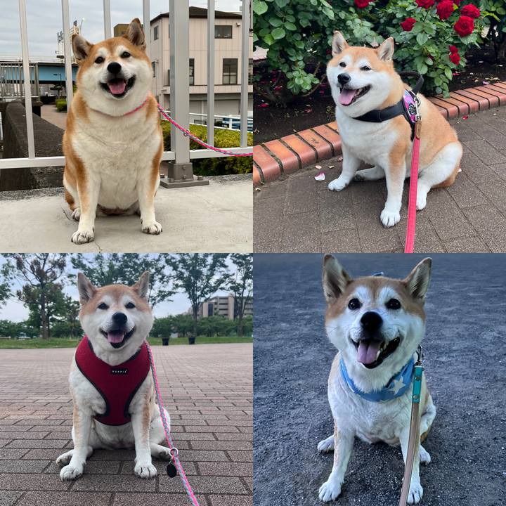 53bfd133 3621 4051 a4fc f4cc520689ea 1726292254518