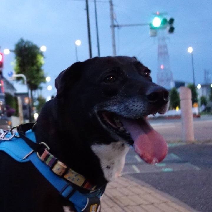 53bff6d2 8226 4d98 be55 d20a8ee5e430 1720609646690