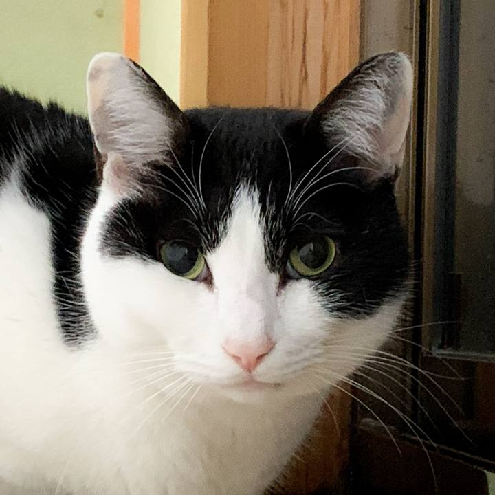 53c003e8 5a2f 472c b52a bd854bf053b0 1581992016188