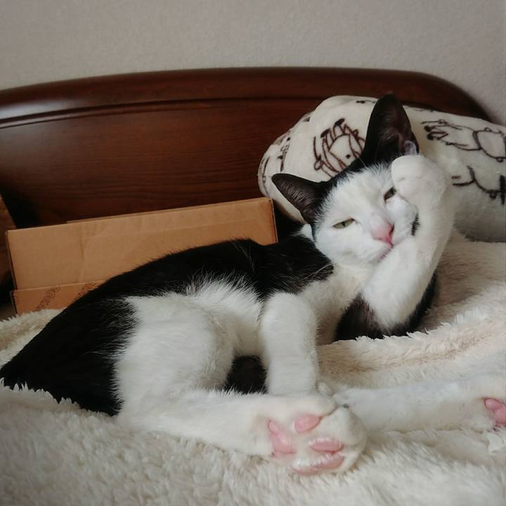 53c00e8c 55ca 48fc 8a7c acc87b84050f 1541387225738