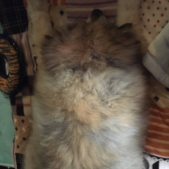 53c01eb3 808e 480f a3cd a6e12f9c1518 1630375549807