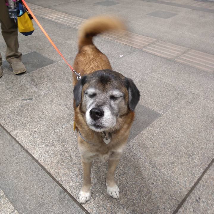 53c0691b 9a7c 49c1 9a84 4e9381ffcb08 1549191184539