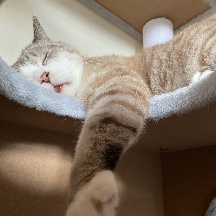 53c07f8f 42b1 4e2d 8a39 4c3d5bd47bf8 1604806990059