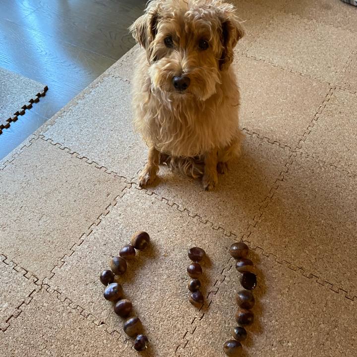 53c0b297 163b 49e9 9a1b fd3a6e6f975f 1633641759838