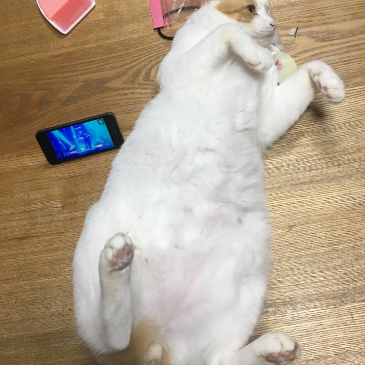 53c0b433 b370 4b08 92d5 1e7e718f2a88 1535898830330