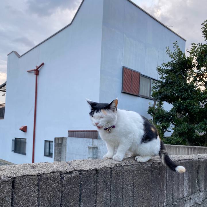 53c0d525 3f0c 49ec a0e1 6962ff939357 1636844006535