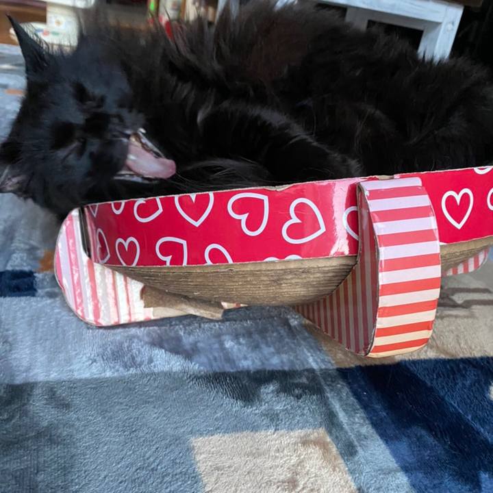 53c1447f 8ff8 4067 9d5e 50e6c3a5db75 1578964960091