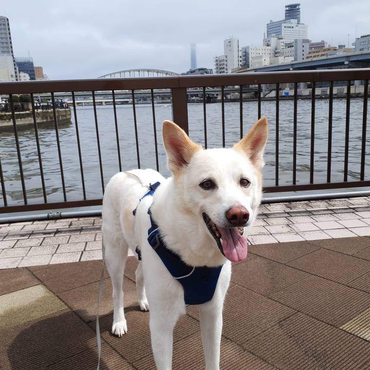 53c1703a 7ca2 4b90 ab47 94a85af5dc26 1681617845242