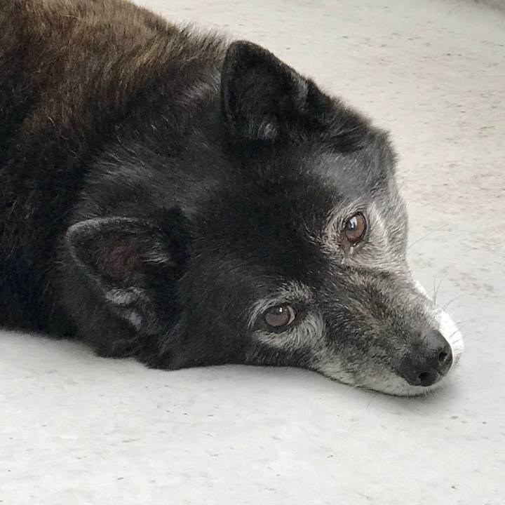 53c171c7 e7ac 4925 a869 6515efa90191 1557238113324