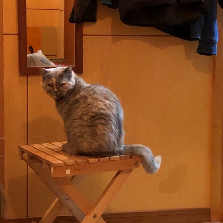 53c17c49 4375 4ba9 a033 9bee258cf22e 1666962860197