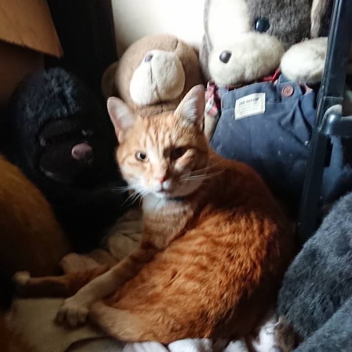 53c18e8f 8eeb 40bc 8c57 8e3abe6ac384 1606090731423