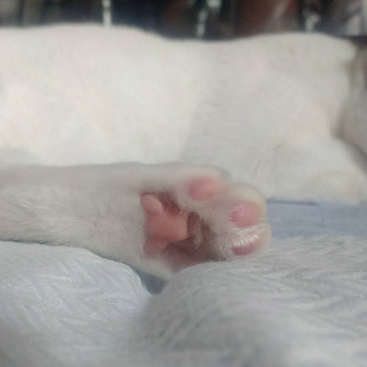 53c1a5a0 b8c4 484a b139 4f8607a8d0d9 1759643030245