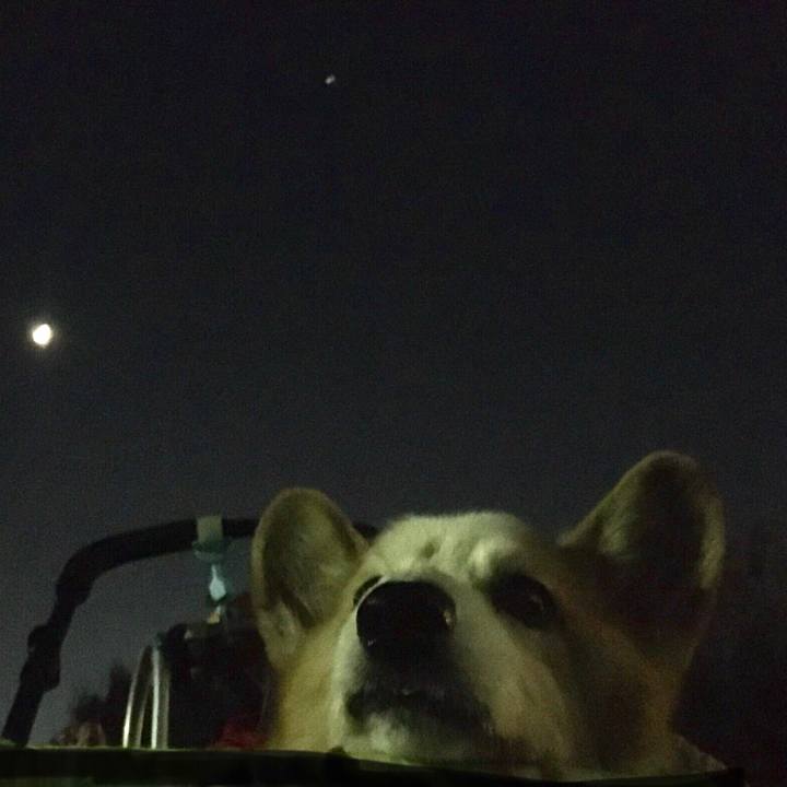 53c1be3f 50d5 461a b844 e7969cc3ac5b 1575545201817