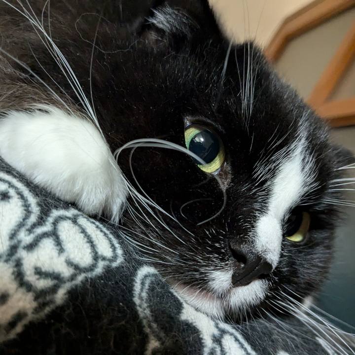 53c1d312 69ff 421f a87d 64d06fd98c4a 1735644078008