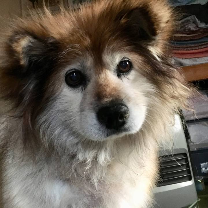 53c1d873 f43b 446a 8431 67364d8be287 1547812049863