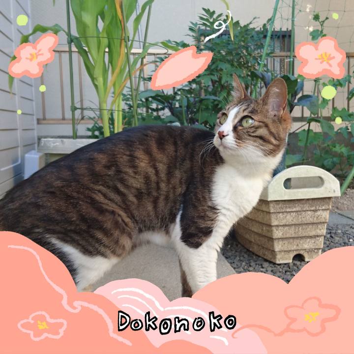 53c20480 dcb8 43aa b978 32ffae59b424 1775868855696