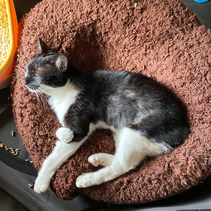 53c2349b 9787 4557 877f 9c48d4d118a9 1599967499587