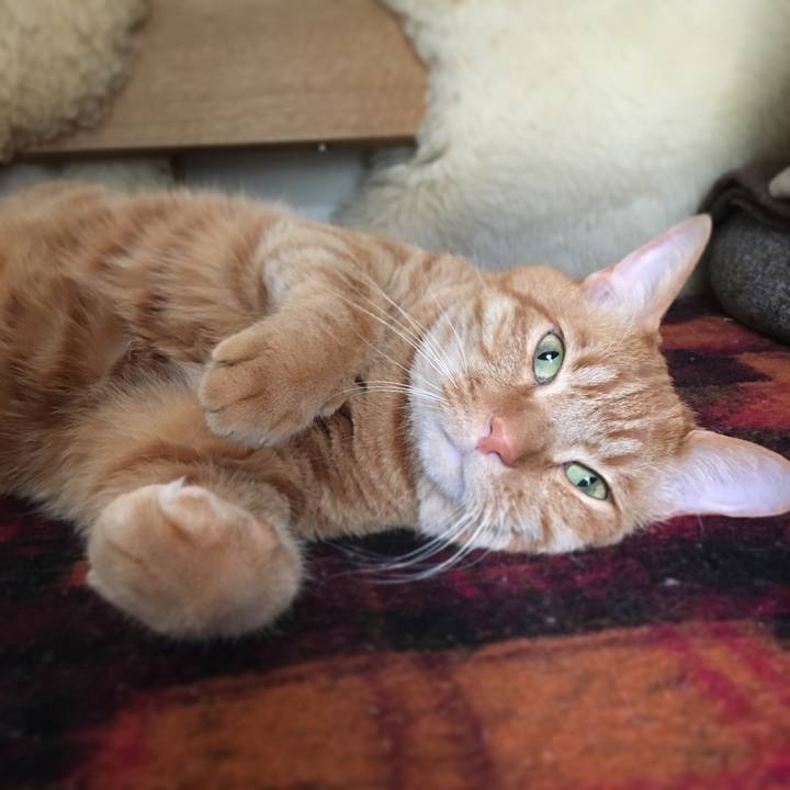 53c27aa0 19fe 4527 afc9 7736da004e70 1611997273700