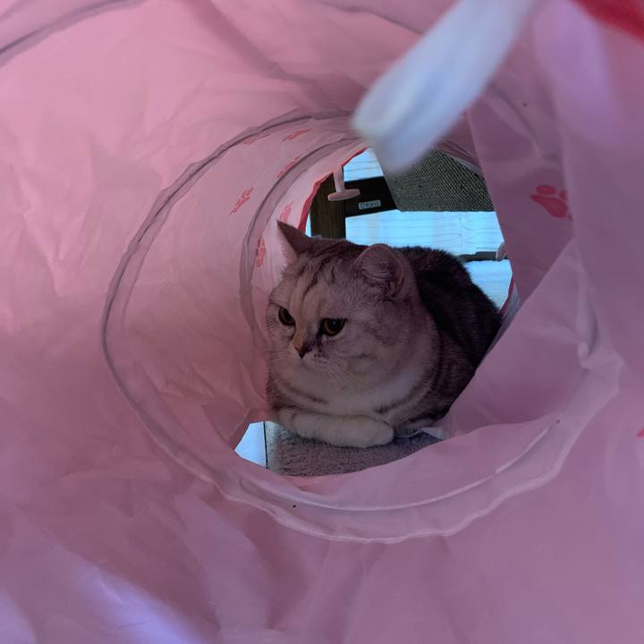 53c27d9d 300b 4902 9620 f08f2799803a 1706431801715