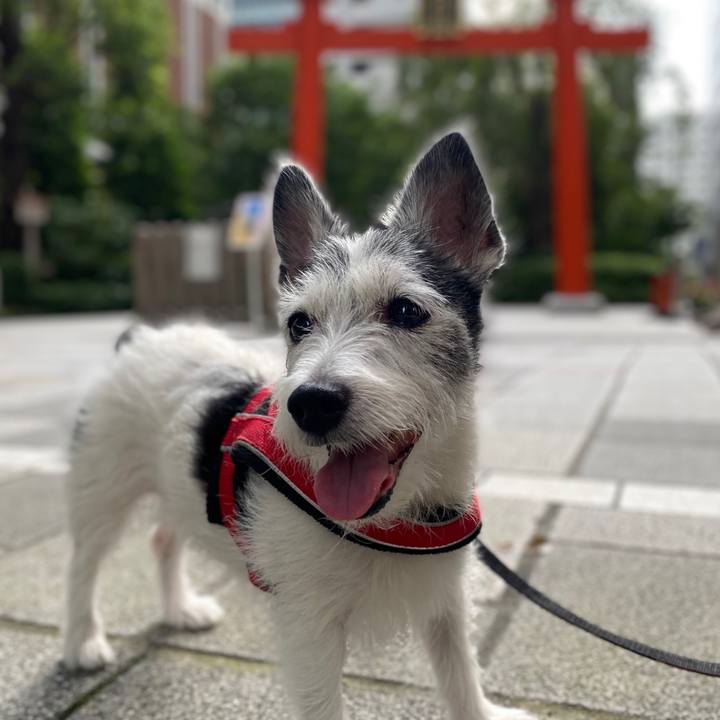 53c2ac62 4429 4d5d 9593 35972a1c81e2 1596978625492