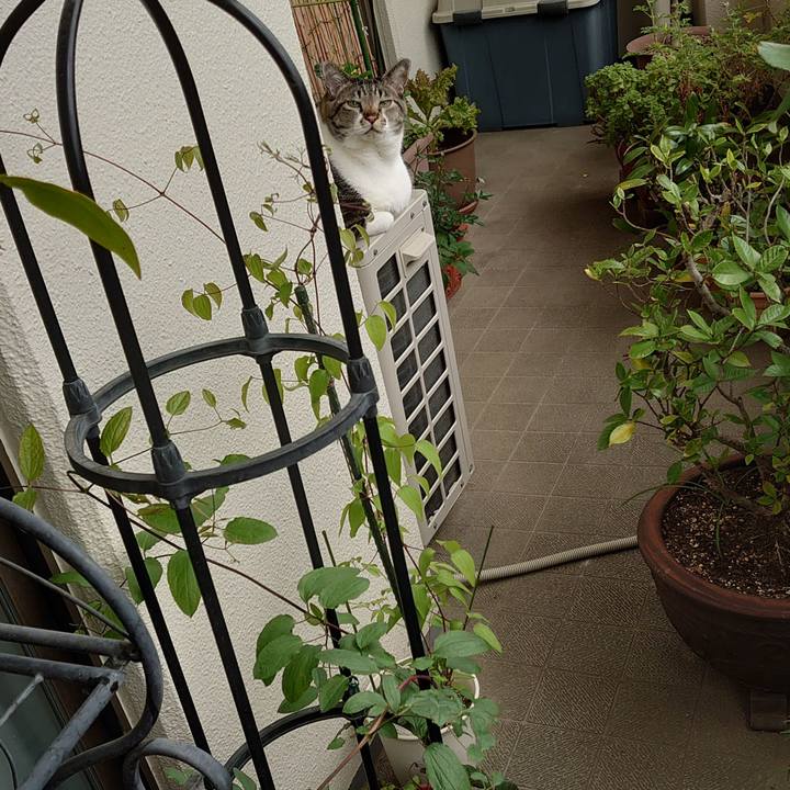 53c31a22 3ba8 44d9 9426 03c2f7c53b7e 1618532909706