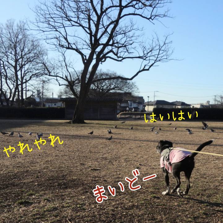 53c32bf2 c595 4603 b6ce 6464eefc632a 1645406917427