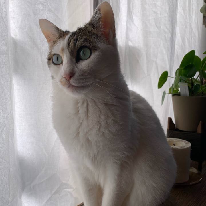 53c33986 066b 4641 aa18 41ae5f04890a 1677541961839