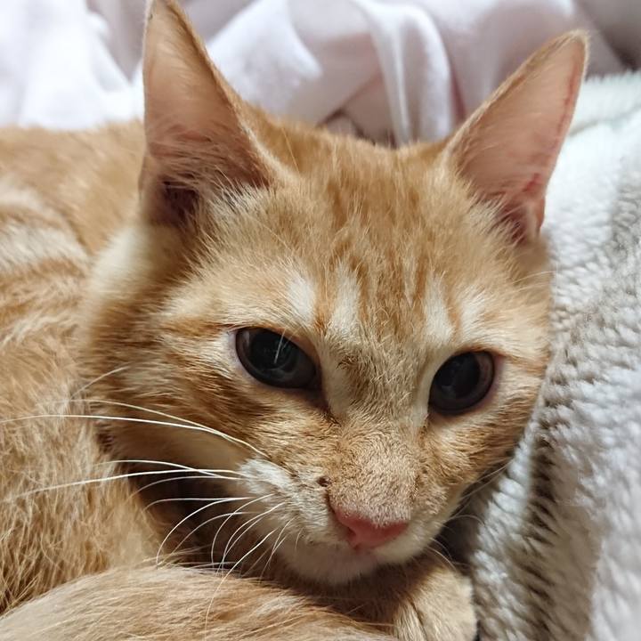 53c34fea d99d 424a 9d11 ef86992a5cca 1634305467302