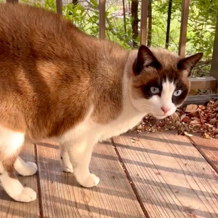 53c3523f 138f 492e a30e a2e299d7f0cc 1773649615168