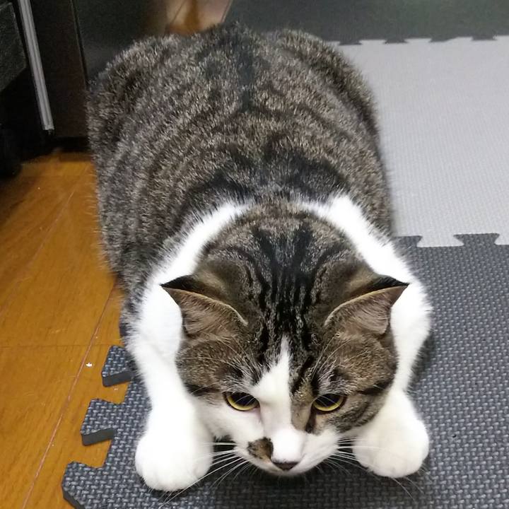 53c3527d f6c8 4d94 a82c 66830147e916 1624021273819