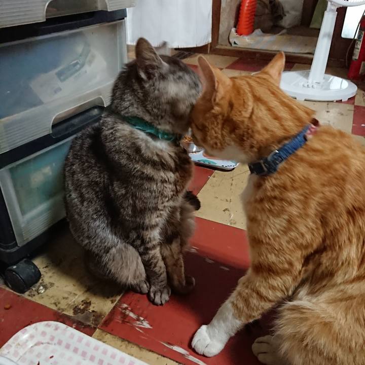 53c37ce8 0363 43ec a343 09f00e76022e 1562465621161