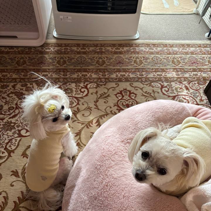 53c380bd 96e3 46e9 a74c 728a7e3f2d37 1769935241540