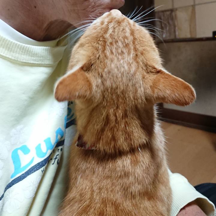 53c38559 6d0d 4cc8 8269 bfff2d27a9f7 1604087533089