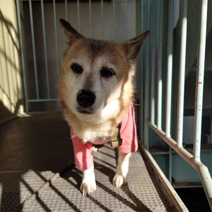 53c39447 2c3f 4068 a53d 162211a59496 1709800627044