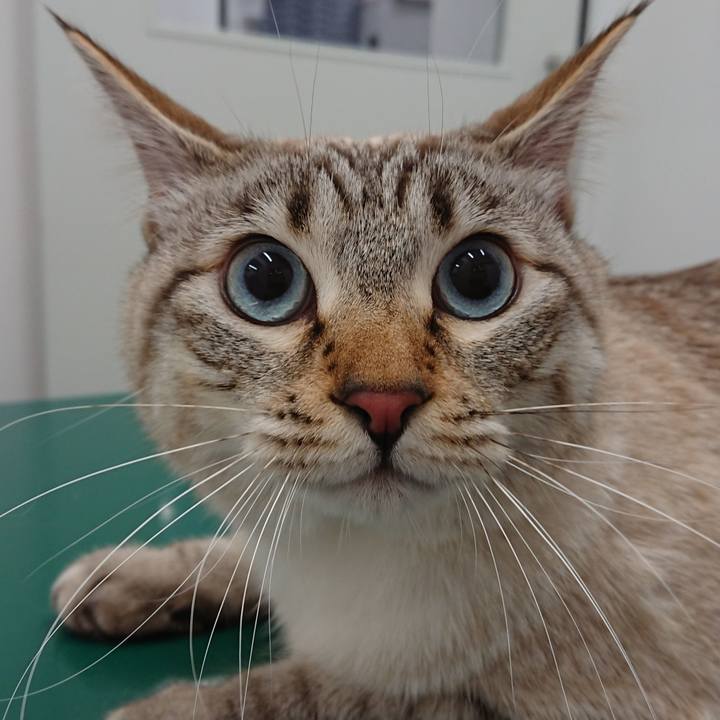 53c399ce c4b2 4cb2 ad74 3d65a6a3d9c9 1518690497306